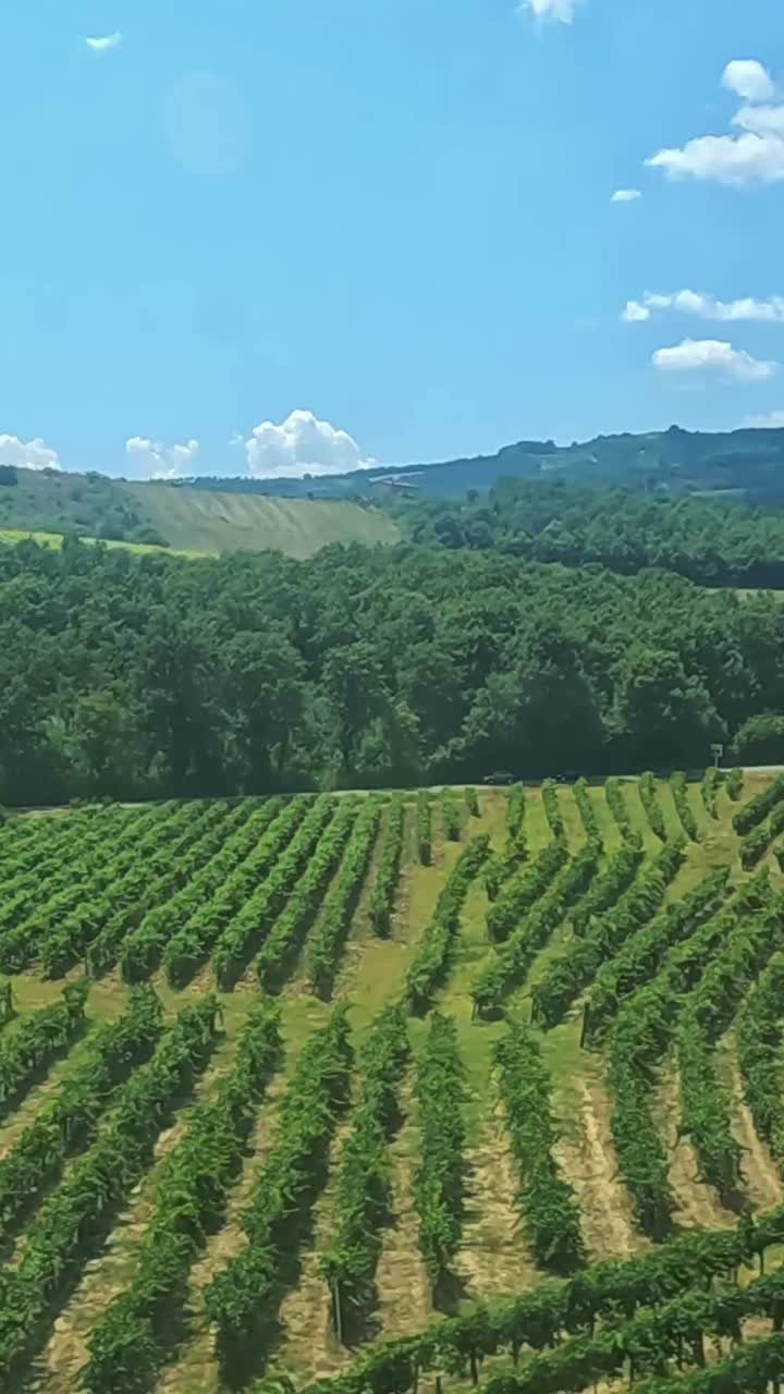 Scenic views of vineyards and rural landscapes