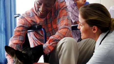 Female-doctor-and-disabled-senior-man-stroking-puppy-at-retirement-home-4k