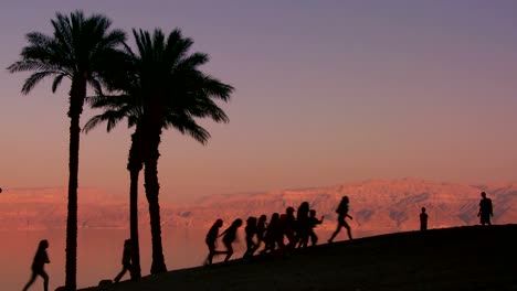 palm trees and people in silhouette along the shoreline of the dead sea in israel at dusk