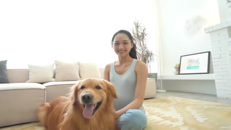 portrait of cute dog lying on the gray couch sticking out tongue in living room at home near girl woman reading book shakes hands, happy golden retriever resting near window, modern house interior