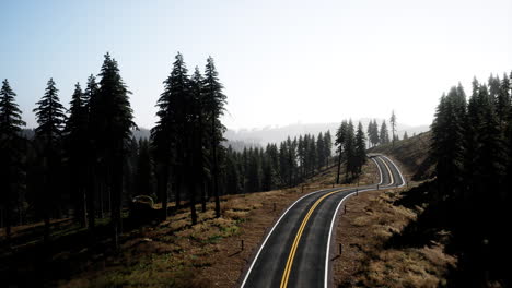 Vista-Aérea-Natural-De-La-Carretera-Y-El-Bosque-En-Otoño