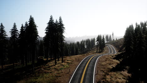 natural aerial view on the road and forest at the autumn time