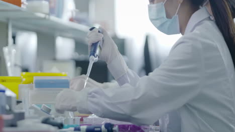 researcher in medical protective gloves transferring solution samples into test tubes flasks with suction pipette for cell culture assay in biological cabinet on in cleanroom environmental facility