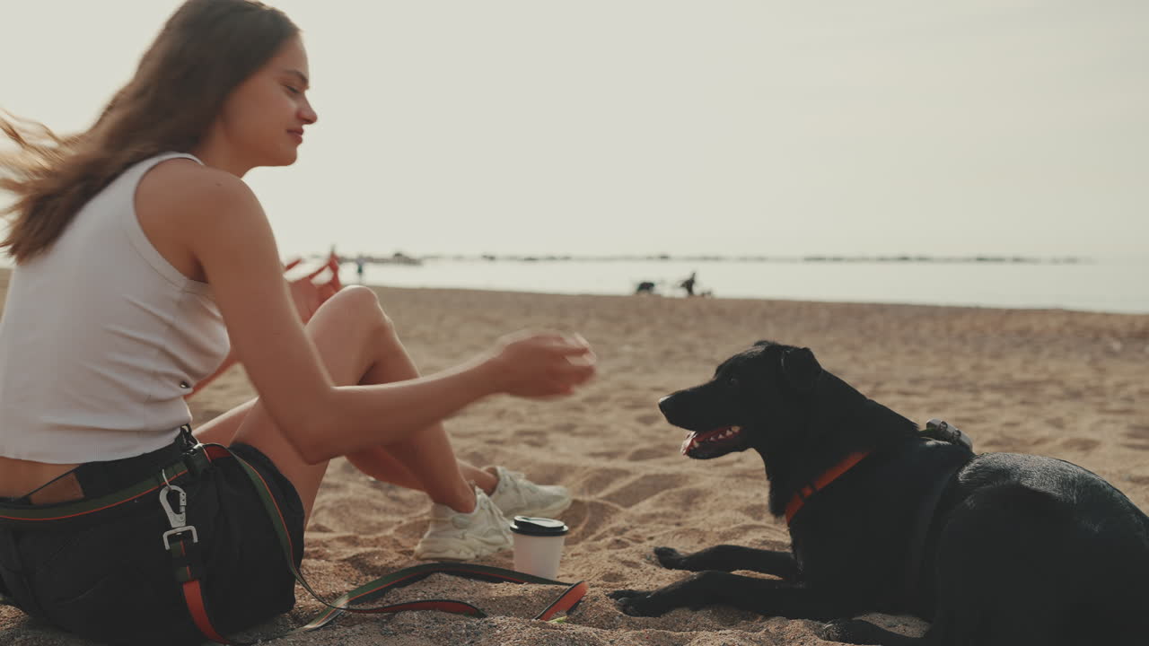 Woman and Dog Relaxing on the Beach