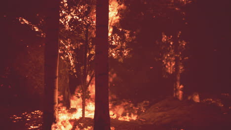 Wildfire-burns-ground-in-forest