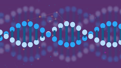 animación de la cadena de adn a través de una red de conexiones