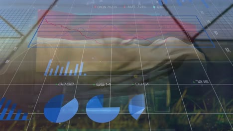 Animación-Del-Procesamiento-De-Datos-Sobre-La-Bandera-De-Los-Países-Bajos.