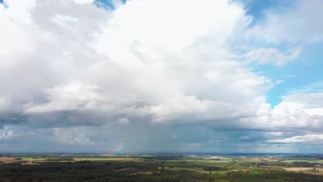 El-Arco-Iris-Sobre-El-Campo-De-Cultivo-Con-Trigo-Floreciente,-Durante-La-Primavera,-Vista-Aérea-Bajo-Nubes-Pesadas-Antes-De-La-Tormenta-3