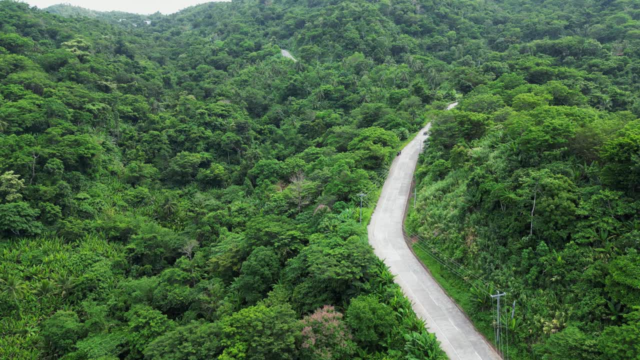 hermoso camino serpenteante que pasa a través de un exuberante bosque de colinas verdes, aérea