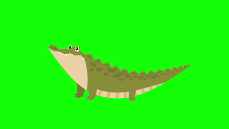 Cartoon-crocodile-icon-loop-Animation-video-transparent-background-with-alpha-channel.