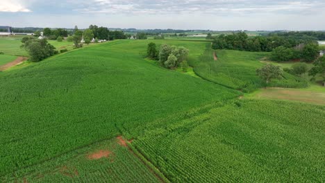 Grüne-Landschaft-Mit-Maisfeldern-Im-Ländlichen-Raum-Der-USA