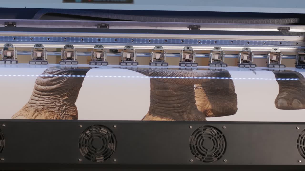 스트레치 천장에 대한 대형 인쇄