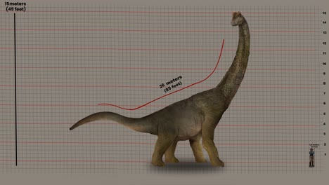 modelo 3d animado de braquiosaurio que muestra su altura y longitud