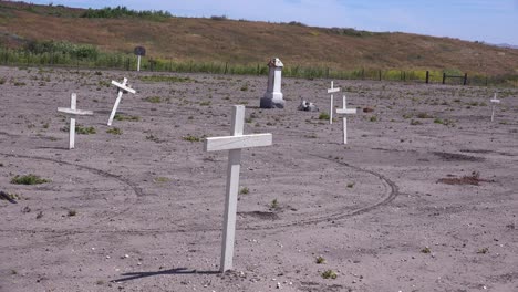 the graves of unknown mexican immigrant hispanic farm workers are marked by crosses in a graveyard cemetery near guadeloupe