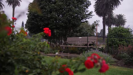 Mädchen-Im-Roten-Kleid,-Das-Sich-Unter-Dem-Regen-Dreht-Und-Tanzt---Holzbank-Im-Rosengarten-In-Sydney,-Australien