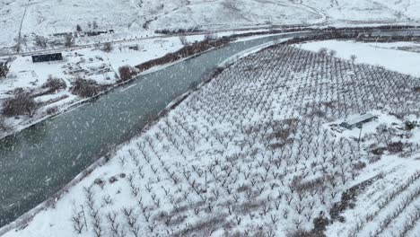 snow falling on an apple orchard in easter washington, benton city