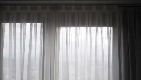 white curtains at a window