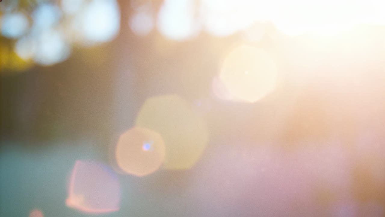 Grappolo di bagliori dell'obiettivo che si sposta, sbocciando dalla luce solare che colpisce l'obiettivo in un parco alberato, con un bokeh caldo