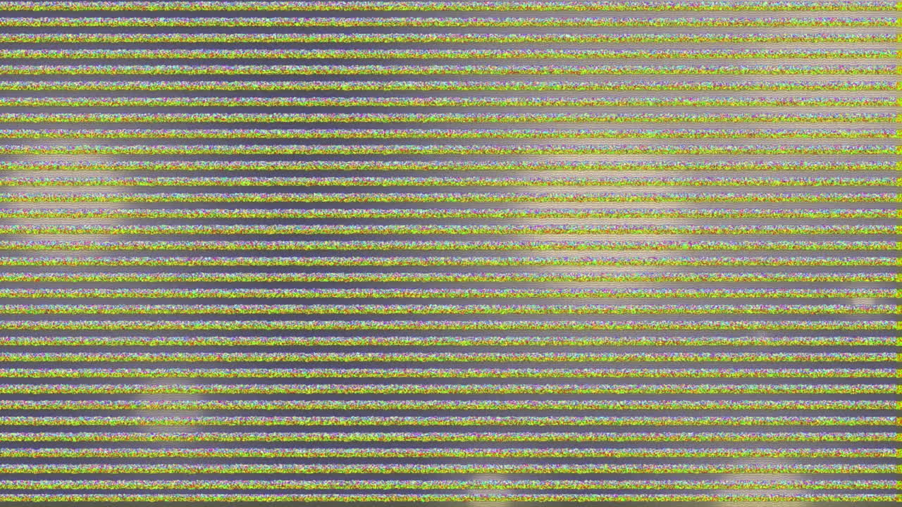 Animation of glitch interference over glowing spots on black background