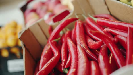 close shot of red large chilies in a carton in the supermarket