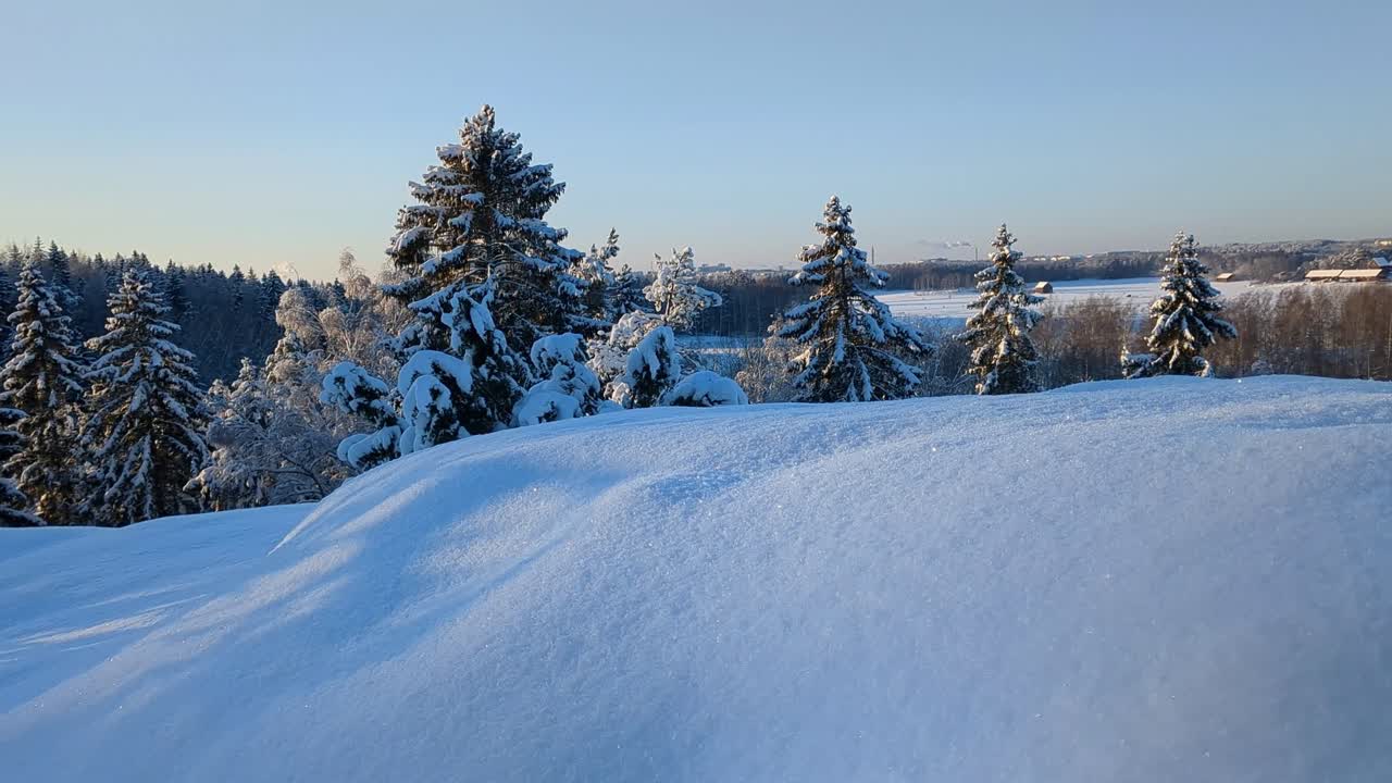 Snowy white winter forest with pristine snow and snow covered trees, winter woods landscape
