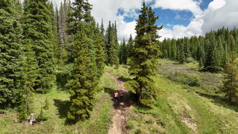 aerial view of couple walking on trail through green forest in breckenridge colorado