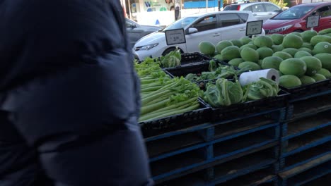 fresh vegetables displayed at an outdoor market