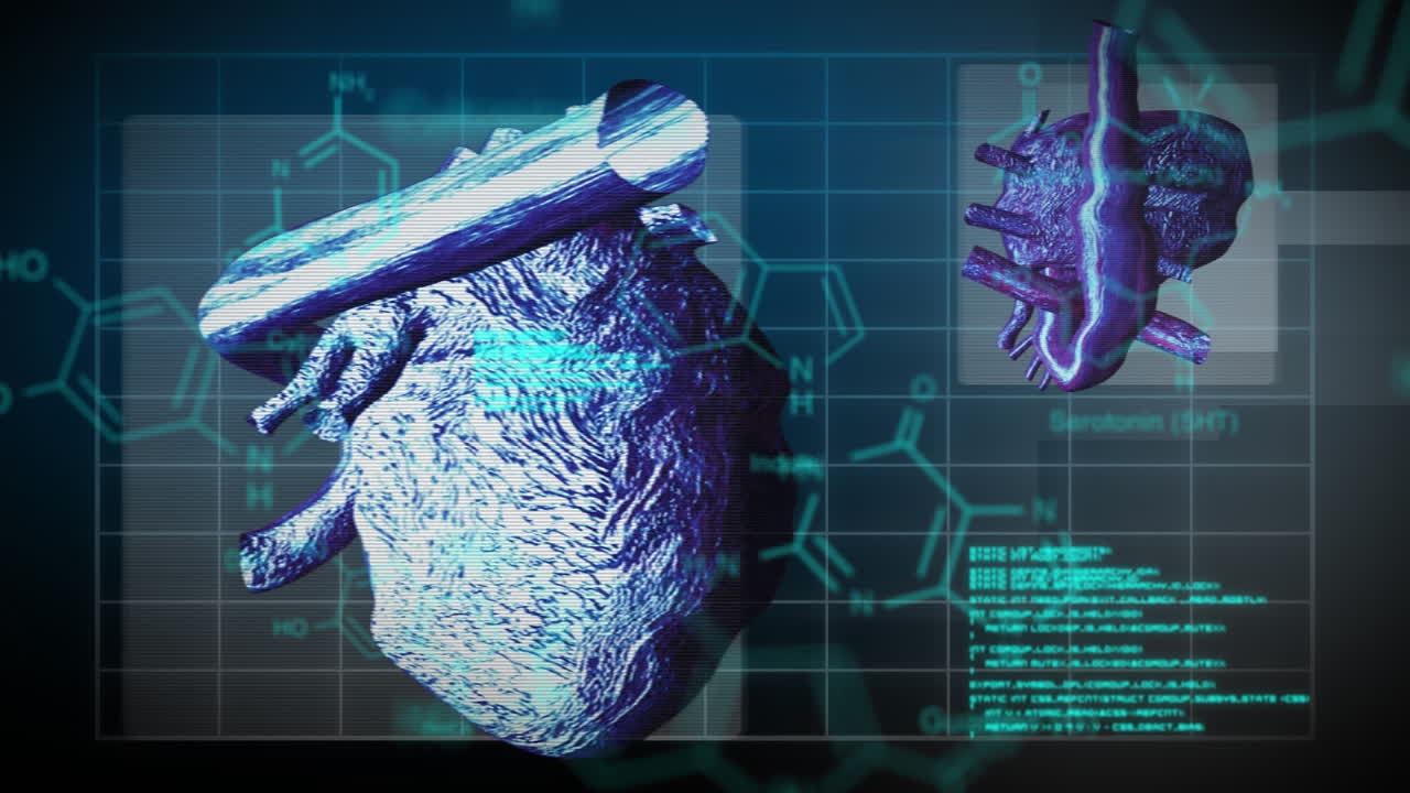 animazione dell'elaborazione di dati scientifici sul cuore umano.