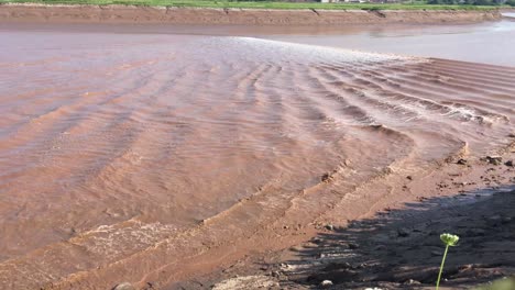 rippling waves from the tidal bore in moncton, new brunswick