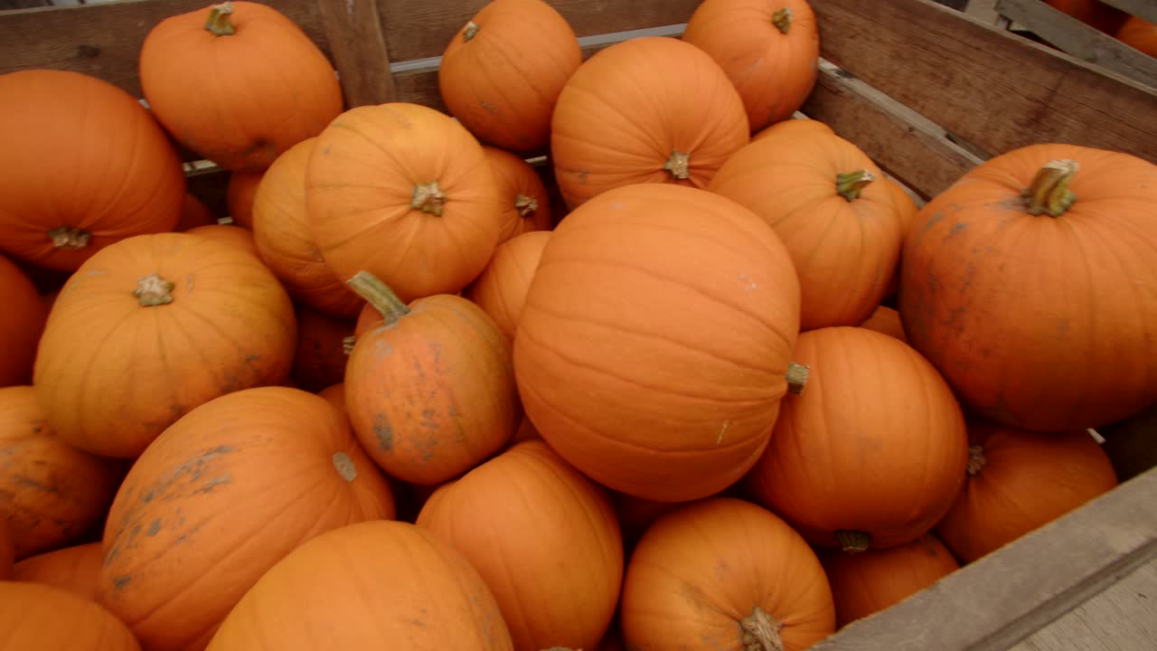 disparo medio de la sartén disparo de calabazas en una caja de madera en el entorno del patio de la granja