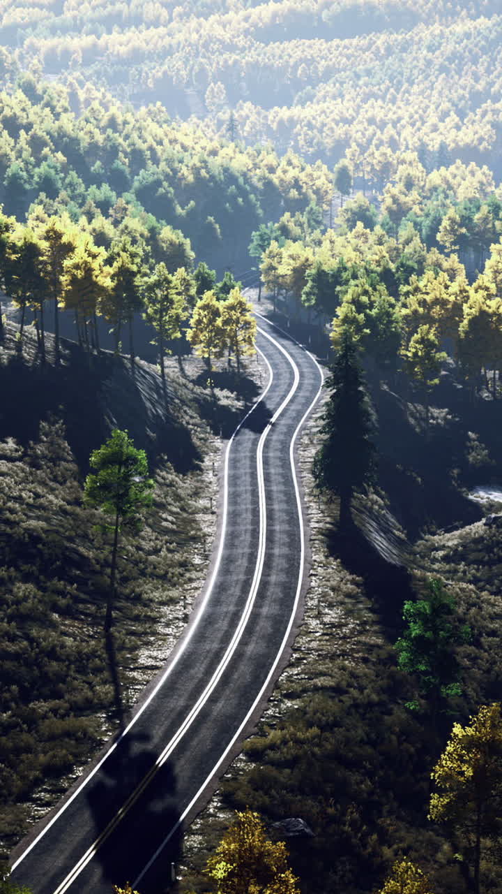 Winding road through lush green hills on a sunny autumn afternoon