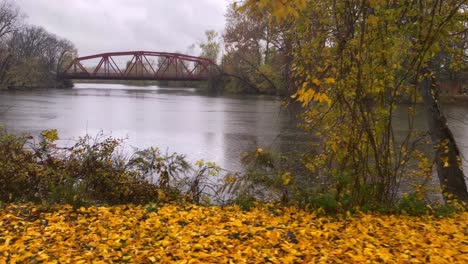 Spaziergang-Entlang-Eines-Flussufers-In-Einem-Park,-Im-Herbst,-Mit-Einer-Gewölbten-Roten-Stahlbrücke-Im-Hintergrund