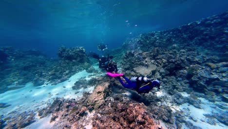 los buzos en trajes de buceo negros y azules con aletas rosadas exploran un vibrante arrecife de coral en aguas azules claras con un fondo de arena, bañados en la luz solar que filtra a través de la superficie del océano