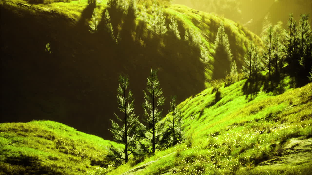 Lush green hills with shadows cast by trees in a serene landscape at sunset