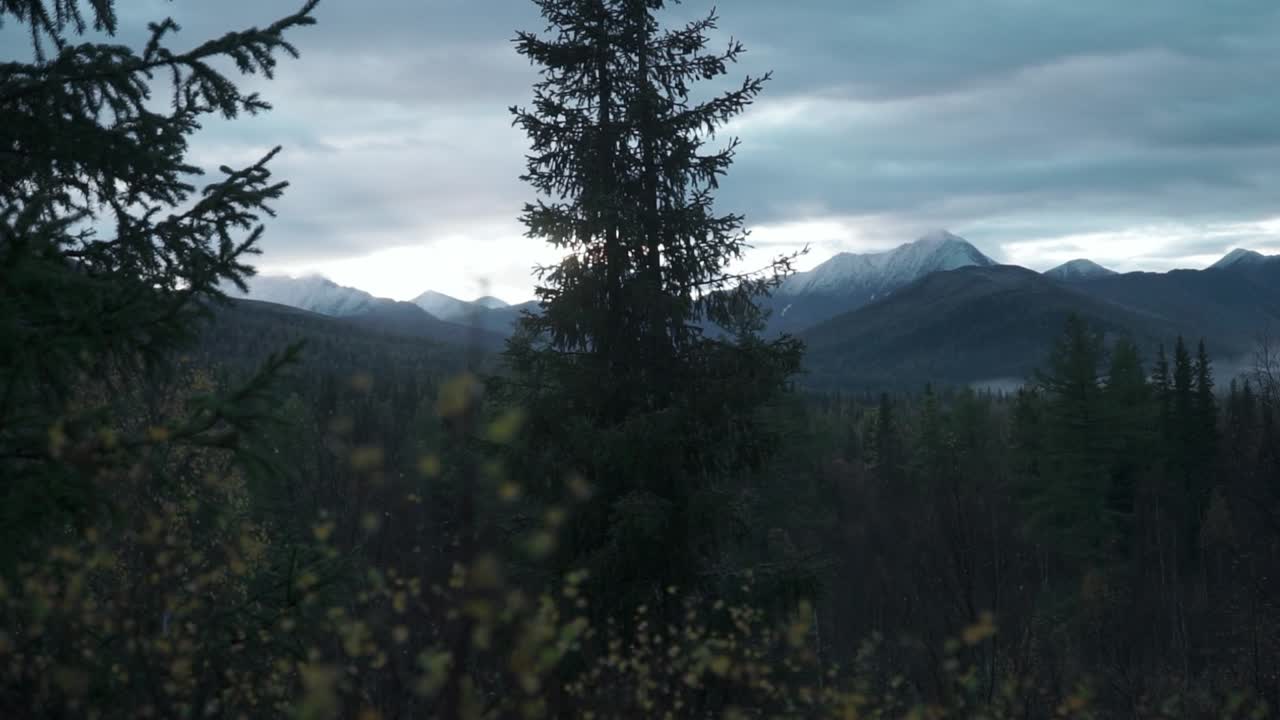 amanecer o atardecer en el bosque de montaña