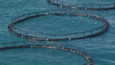 a mid sized marine vessel tows four fish farms along the west australian coast