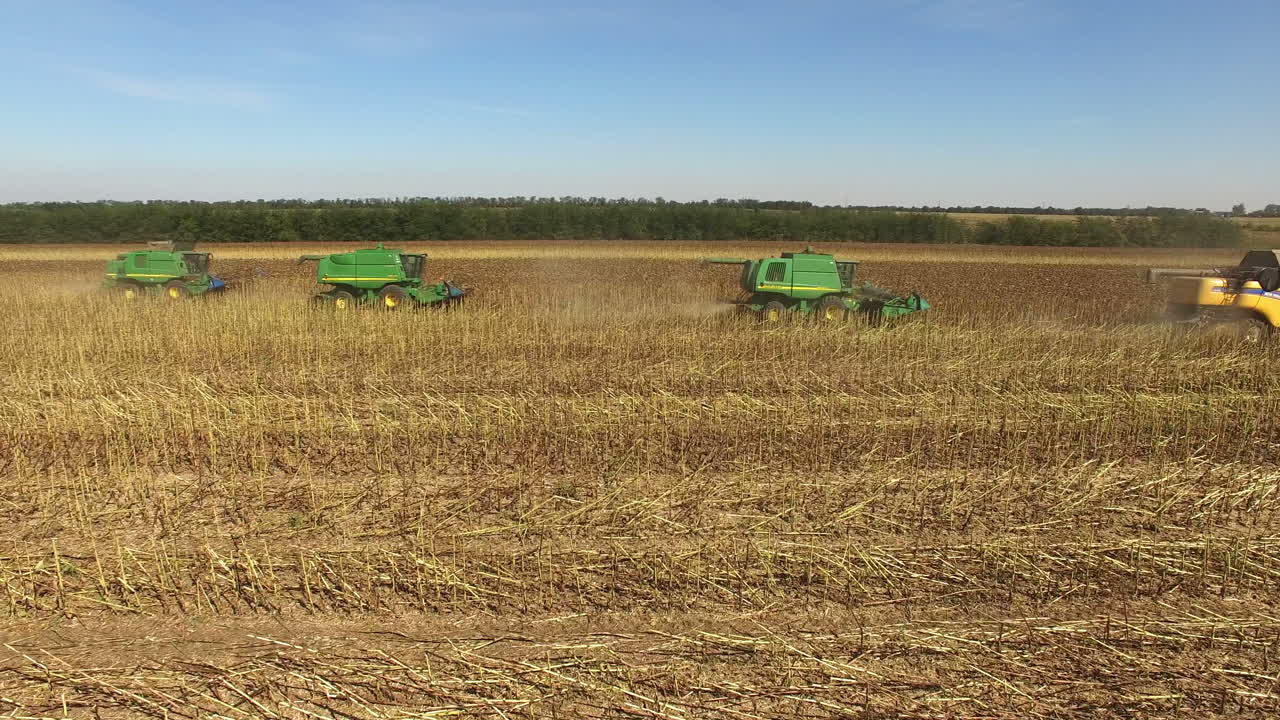 Combine Harvesters Working in the Field