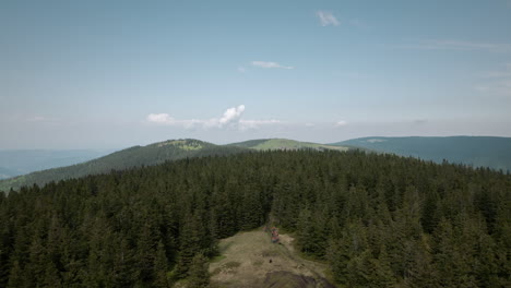 Dolly-Drone-Tiro-Del-Bosque-De-Abetos-Y-Montañas-Cercanas,-Jóvenes-Souts-Saliendo-Del-Bosque-En-El-Claro