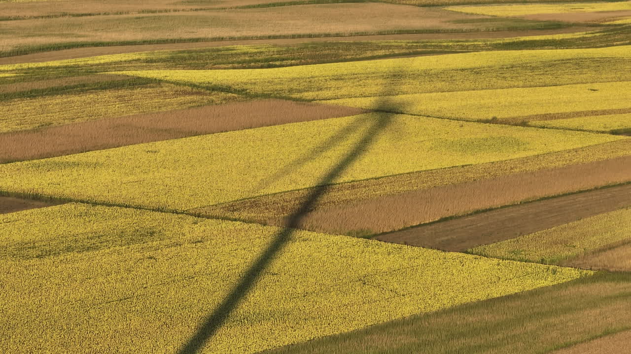 Veduta aerea di campi agricoli con l'ombra di un mulino a vento