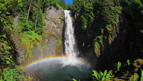rainbow waterfall in a lush forest