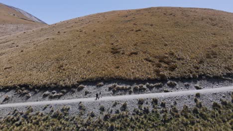 three guys walking up narrow dirt road in the foothills of new zealand's southern alps on a sunny spring day