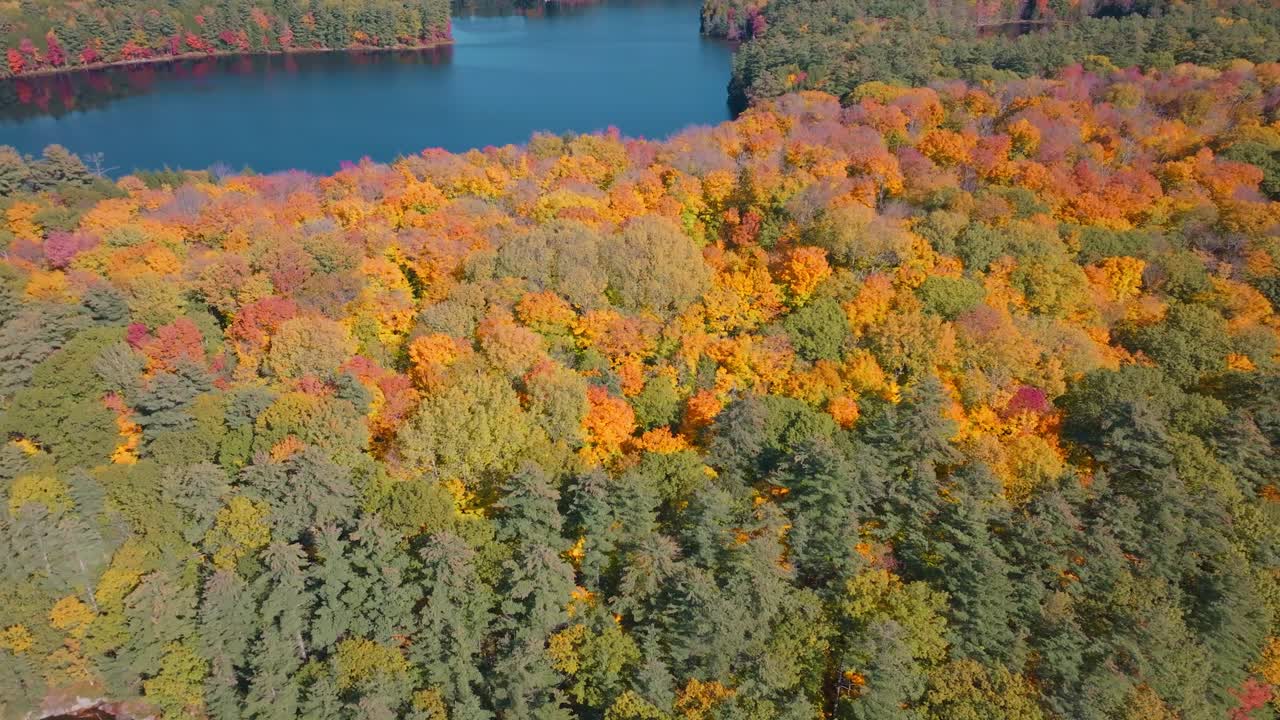 Vibrant fall foliage surrounding a calm lake in a scenic forest landscape, aerial view