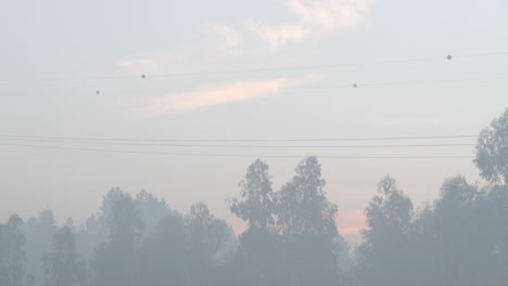 Foggy-Landscape-With-Trees-and-Electrical-Structures