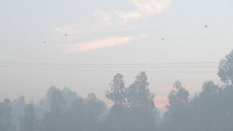 foggy landscape with trees and electrical structures
