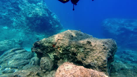 corales en el suelo del océano, el buzo nada por encima, la cámara cambia de vista hacia debajo, en cámara lenta
