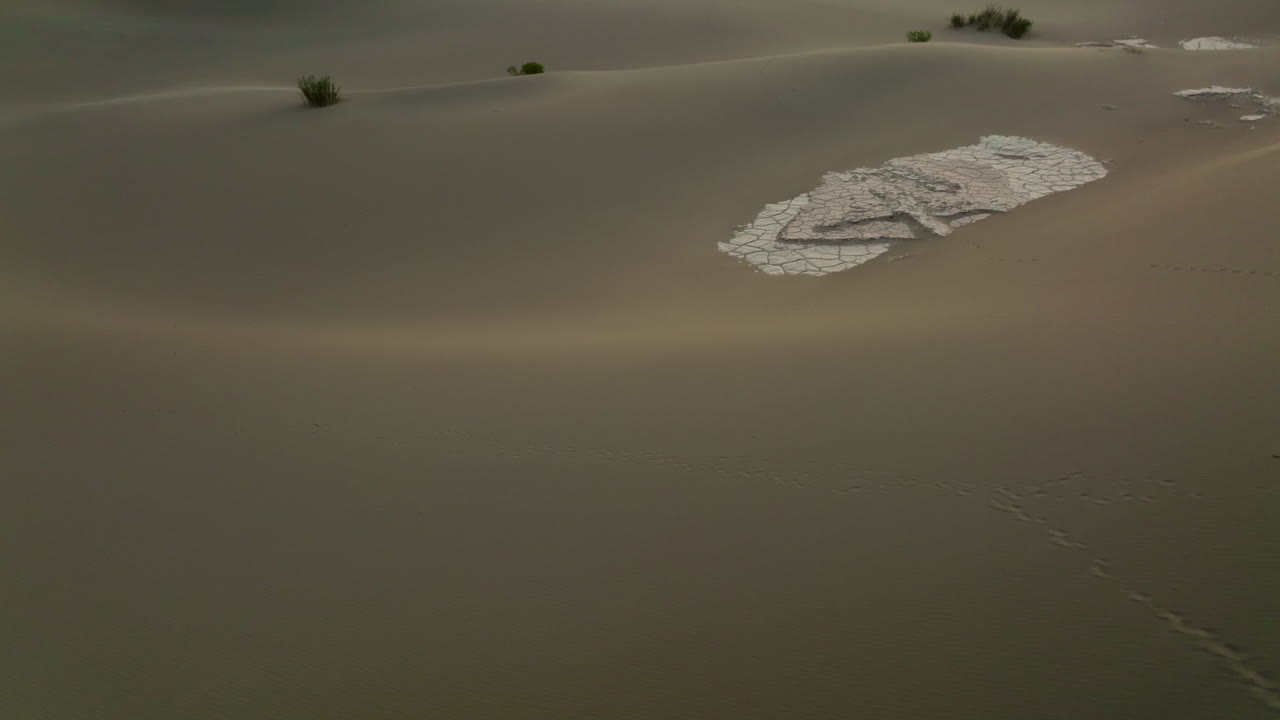 미국 일출 때 데스 밸리 국립공원의 공중 전망 모래 언덕