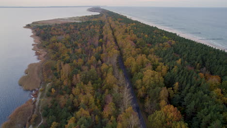 ,-Colourful-forest-on-long-peninsula,-High-angled-drone-shot