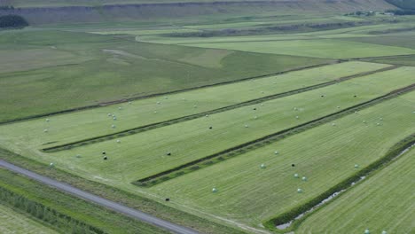 Exuberante-Tierra-Cultivable-Verde-Del-Este-De-Islandia-Con-Campos-De-Cultivo-Recién-Cortados,-Producción-De-Forraje