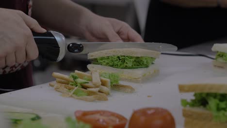 Cutting-a-club-sandwich-with-electric-knife