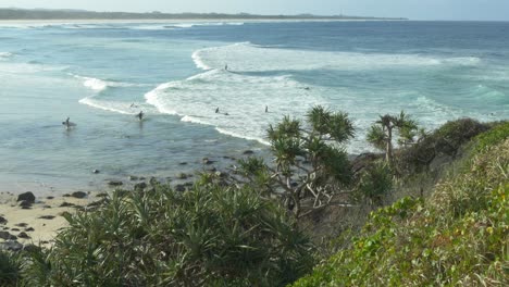 people surfing the ocean in cabarita, new south wales, australia - static shot